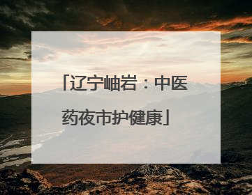 辽宁岫岩：中医药夜市护健康