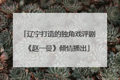 辽宁打造的独角戏评剧《赵一曼》倾情播出