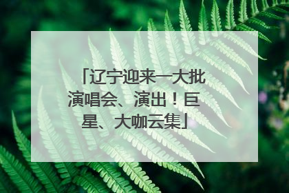 辽宁迎来一大批演唱会、演出！巨星、大咖云集
