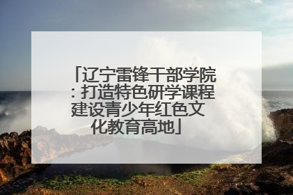 辽宁雷锋干部学院：打造特色研学课程 建设青少年红色文化教育高地