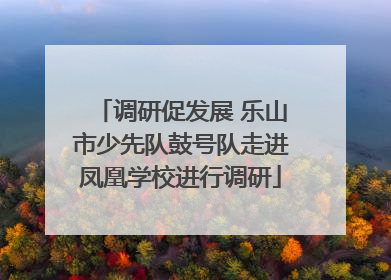 调研促发展 乐山市少先队鼓号队走进凤凰学校进行调研