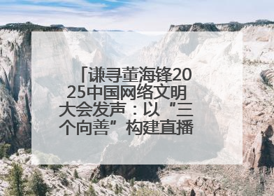 谦寻董海锋2025中国网络文明大会发声：以“三个向善”构建直播电商善意长河