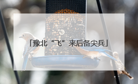 豫北“飞”来后备尖兵