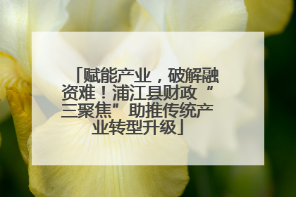 赋能产业，破解融资难！浦江县财政“三聚焦”助推传统产业转型升级