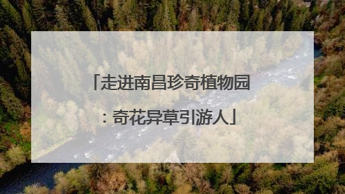 走进南昌珍奇植物园：奇花异草引游人