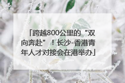 跨越800公里的“双向奔赴”！长沙-香港青年人才对接会在港举办