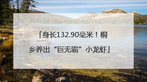 身长132.90毫米！桐乡养出“巨无霸”小龙虾