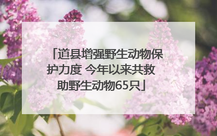 道县增强野生动物保护力度 今年以来共救助野生动物65只