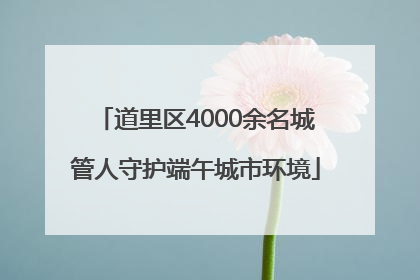 道里区4000余名城管人守护端午城市环境
