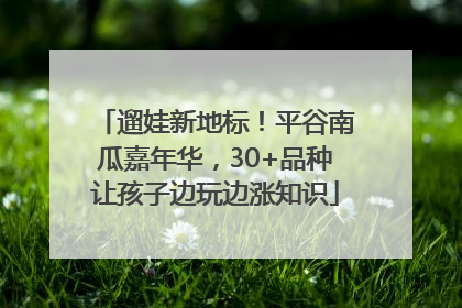 遛娃新地标！平谷南瓜嘉年华，30+品种让孩子边玩边涨知识