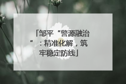 邹平“警源融治”：精准化解，筑牢稳定防线