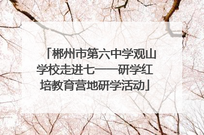 郴州市第六中学观山学校走进七一一研学红培教育营地研学活动