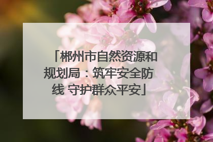 郴州市自然资源和规划局：筑牢安全防线 守护群众平安