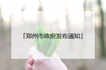 郑州市政府发布通知