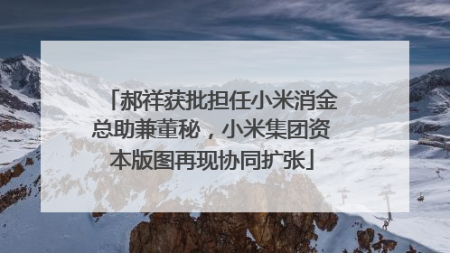 郝祥获批担任小米消金总助兼董秘，小米集团资本版图再现协同扩张