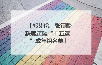 郭艾伦、张镇麟缺席辽篮“十五运”成年组名单
