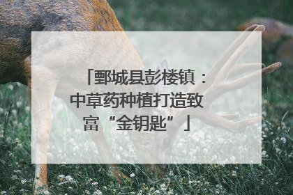 鄄城县彭楼镇：中草药种植打造致富“金钥匙”