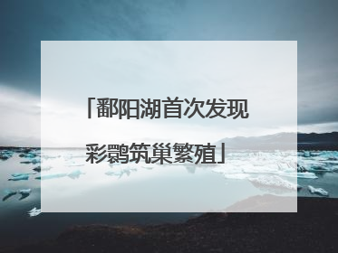 鄱阳湖首次发现彩鹮筑巢繁殖
