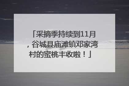 采摘季持续到11月，谷城县庙滩镇邓家湾村的蜜桃丰收啦！