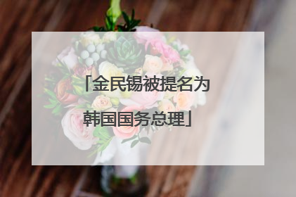 金民锡被提名为韩国国务总理