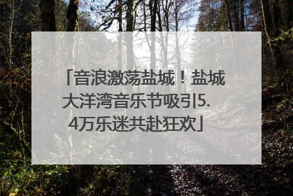 音浪激荡盐城！盐城大洋湾音乐节吸引5.4万乐迷共赴狂欢