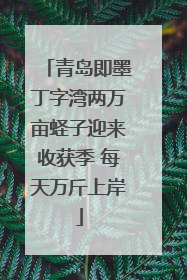 青岛即墨丁字湾两万亩蛏子迎来收获季 每天万斤上岸