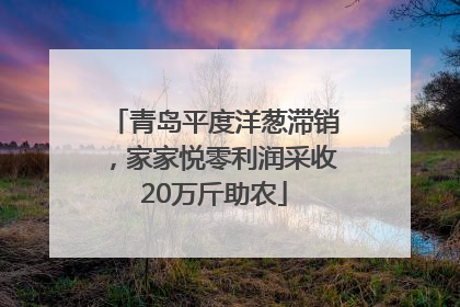 青岛平度洋葱滞销，家家悦零利润采收20万斤助农