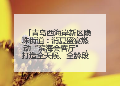 青岛西海岸新区隐珠街道：消夏盛宴燃动“滨海会客厅”，打造全天候、全龄段消费生态圈