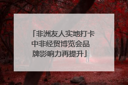非洲友人实地打卡 中非经贸博览会品牌影响力再提升