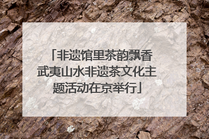 非遗馆里茶韵飘香 武夷山水非遗茶文化主题活动在京举行