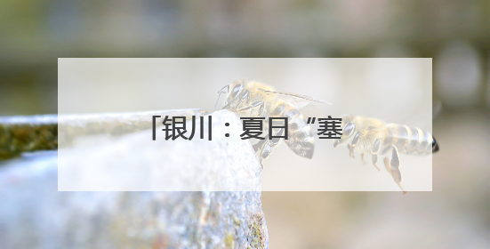 银川：夏日“塞上湖城”美如画