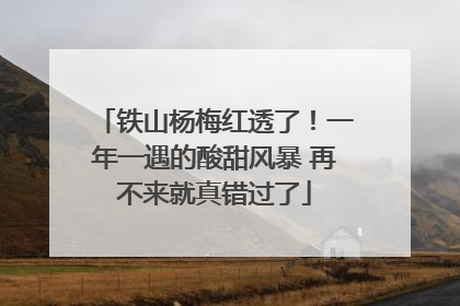 铁山杨梅红透了！一年一遇的酸甜风暴 再不来就真错过了
