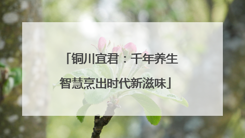 铜川宜君：千年养生智慧烹出时代新滋味