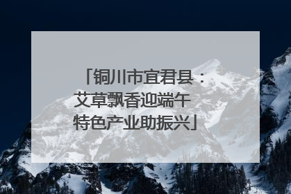 铜川市宜君县：艾草飘香迎端午 特色产业助振兴