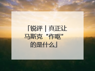 锐评｜真正让马斯克“作呕”的是什么