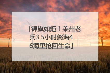 锦旗如炬！莱州老兵3.5小时怒海46海里抢回生命