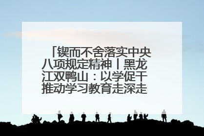 锲而不舍落实中央八项规定精神丨黑龙江双鸭山：以学促干推动学习教育走深走实 从小事入手写好“民生答卷”