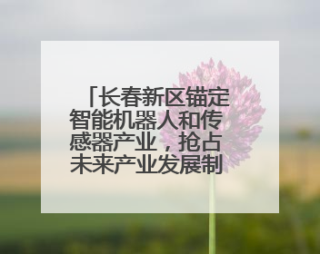 长春新区锚定智能机器人和传感器产业，抢占未来产业发展制高点