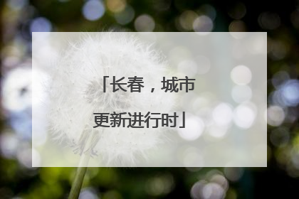 长春，城市更新进行时