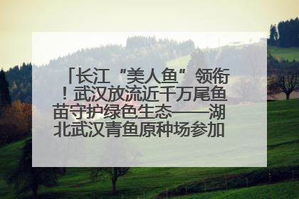 长江“美人鱼”领衔！武汉放流近千万尾鱼苗守护绿色生态——湖北武汉青鱼原种场参加2025年“全国放鱼日”增殖放流活动