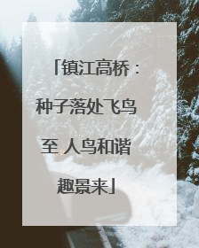 镇江高桥：种子落处飞鸟至 人鸟和谐趣景来