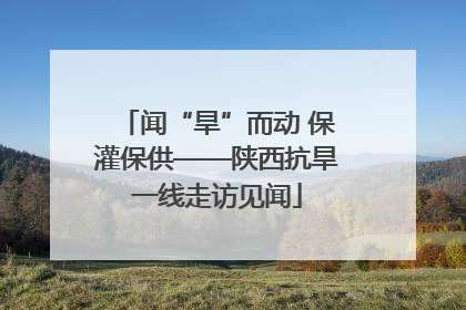 闻“旱”而动 保灌保供——陕西抗旱一线走访见闻