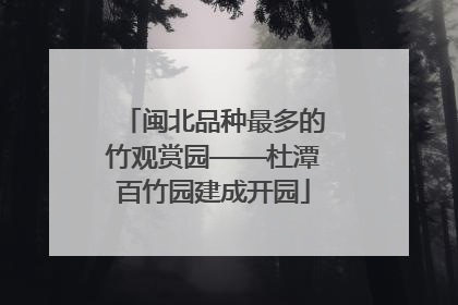 闽北品种最多的竹观赏园——杜潭百竹园建成开园