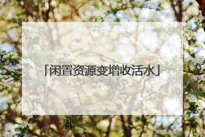 闲置资源变增收活水