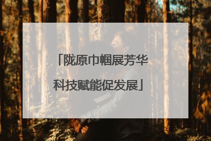 陇原巾帼展芳华 科技赋能促发展