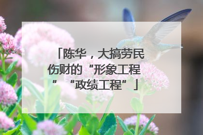 陈华，大搞劳民伤财的“形象工程”“政绩工程”