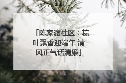 陈家渡社区：粽叶飘香迎端午 清风正气话清廉