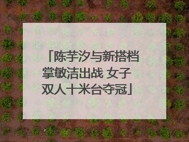 陈芋汐与新搭档掌敏洁出战 女子双人十米台夺冠