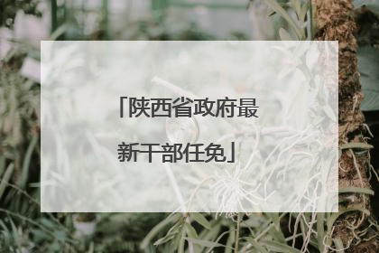 陕西省政府最新干部任免
