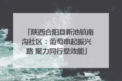 陕西合阳县新池镇南沟社区：葡萄串起振兴路 聚力同行显效能